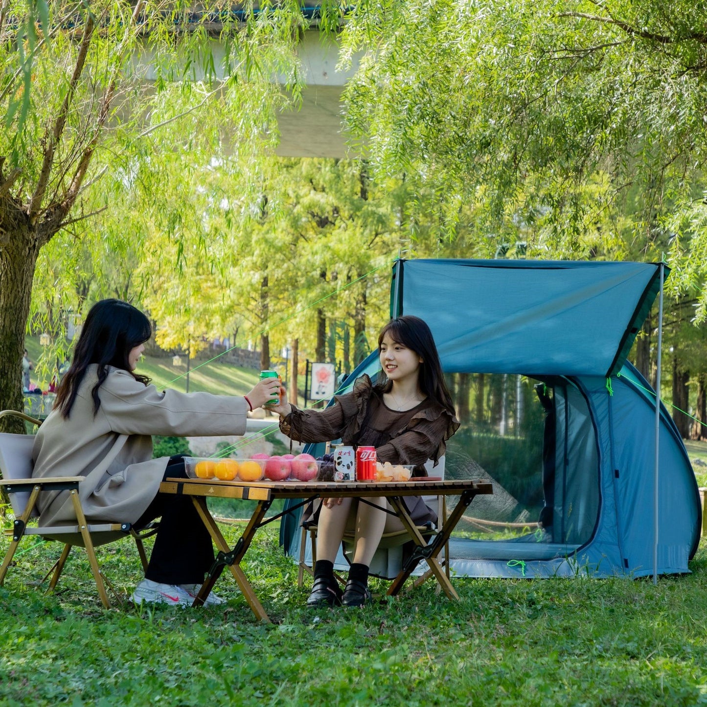 Fournitures d'extérieur Tente de camping à ouverture automatique monocouche