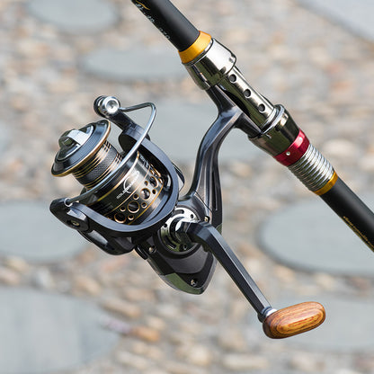 Ensemble de canne à pêche télescopique et moulinet à lancer, kit de canne à pêche à la carpe