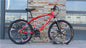 BMW Cross Country Mountain Bike Double Disc Brake