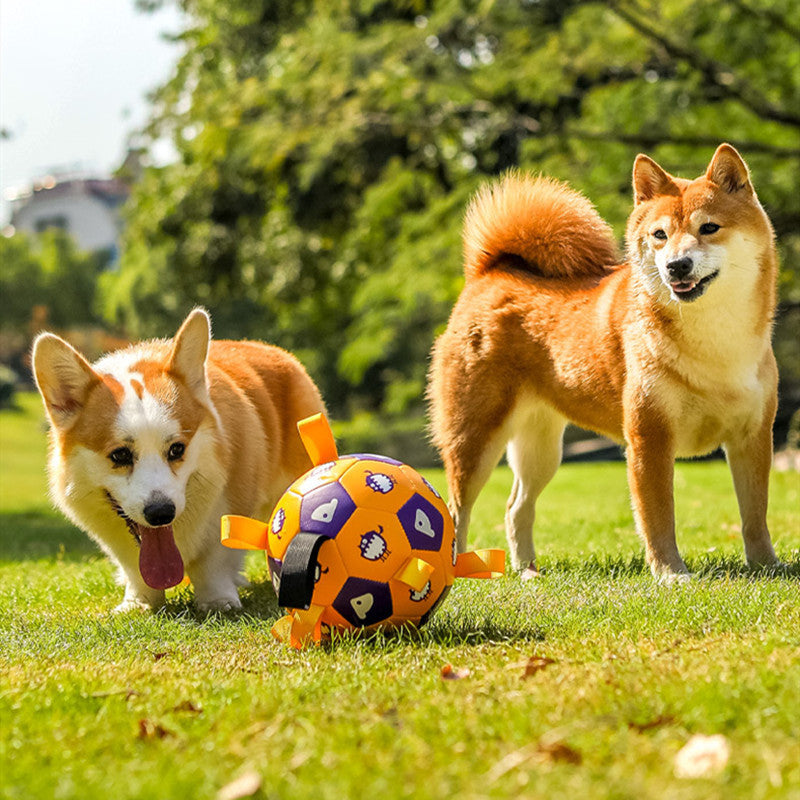 Jouet d'extérieur interactif pour chien en forme de ballon de football pour animal de compagnie, longue durée