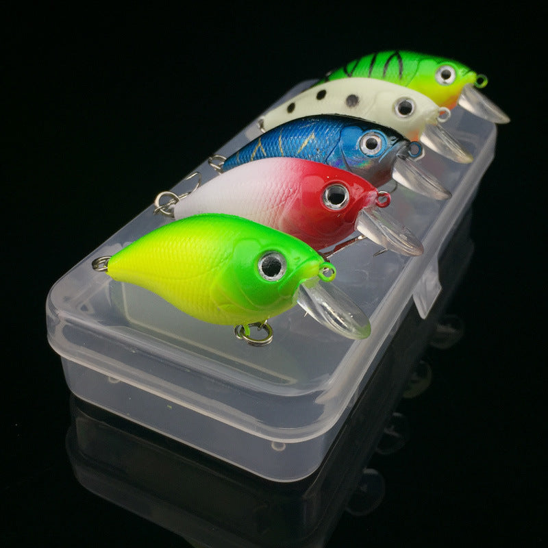 WALK FISH Lot de 5 leurres de pêche 5 couleurs Minnow Road Bait Petit poisson gras Appât de pêche Appât dur Spinner Appât artificiel