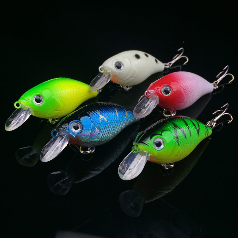 WALK FISH Lot de 5 leurres de pêche 5 couleurs Minnow Road Bait Petit poisson gras Appât de pêche Appât dur Spinner Appât artificiel