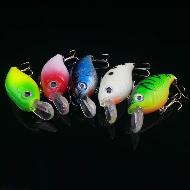 WALK FISH Lot de 5 leurres de pêche 5 couleurs Minnow Road Bait Petit poisson gras Appât de pêche Appât dur Spinner Appât artificiel