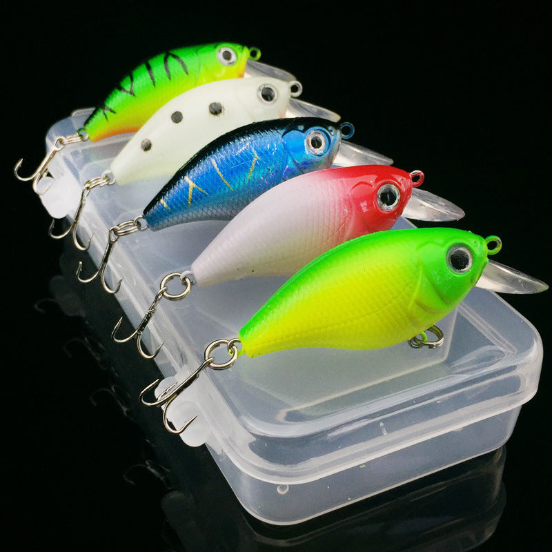 WALK FISH Lot de 5 leurres de pêche 5 couleurs Minnow Road Bait Petit poisson gras Appât de pêche Appât dur Spinner Appât artificiel