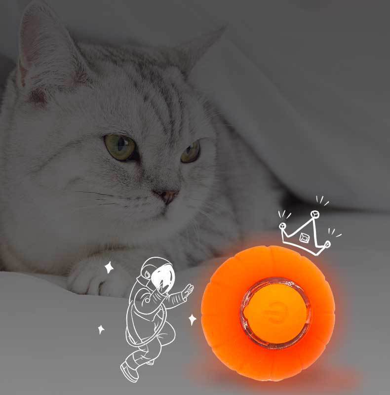 Balle roulante intelligente pour chat - Jouet élastique résistant aux morsures