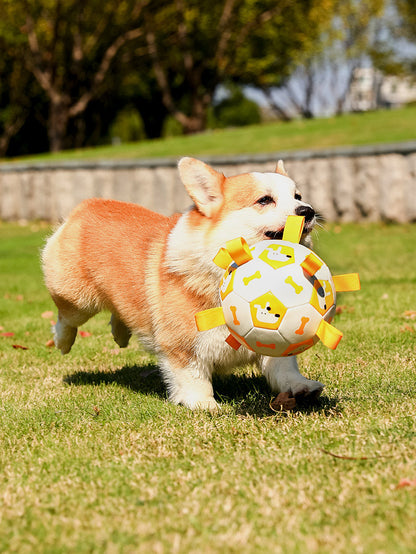 Jouet d'extérieur interactif pour chien en forme de ballon de football pour animal de compagnie, longue durée