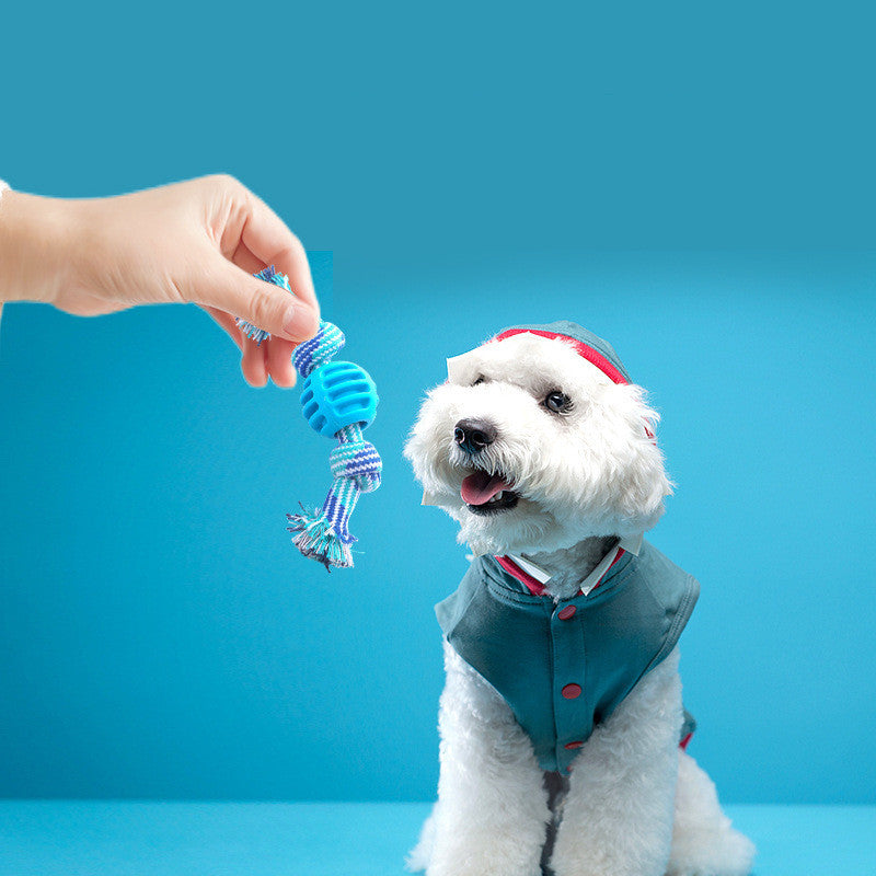 Jouets pour animaux de compagnie résistants aux morsures de chien, nettoyage des dents, balle, cordon en coton à double nœud avec balle, jouet pour chien, jouet de meulage des dents, nettoyage des dents, produits pour animaux de compagnie