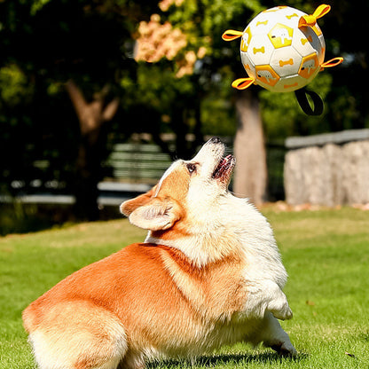 Jouet d'extérieur interactif pour chien en forme de ballon de football pour animal de compagnie, longue durée