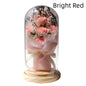 Bouquet de gypsophiles artificielles séchées en forme de rose avec couvercle en verre, ornements, petite lampe de nuit à LED, cadeau de Saint-Valentin