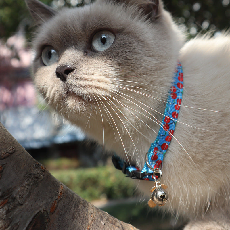 Ceinture en tissu PET Fruit Collier pour chat Accessoires Cloche